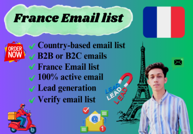 High Quality France 4k B2B & 450k B2C Targeted Email List by Niche