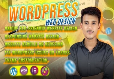 I will create or customize a professional WordPress website