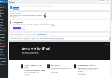 I will expert wordpress on page SEO for traffic growth