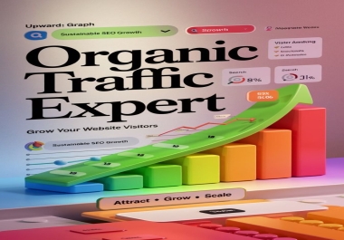 I will drive real human traffic to your website from top-tier countries