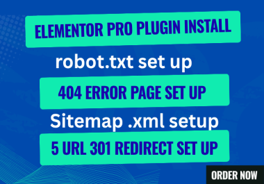 I will install and setup Elementor Pro,  robots. txt,  custom 404 error page and 301 redirect set up