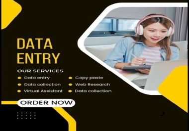 I will do accurate data entry and provide virtual assistance