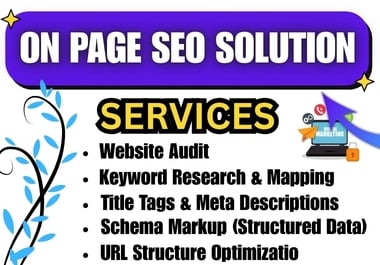 I come up with how to solve on page seo solution.