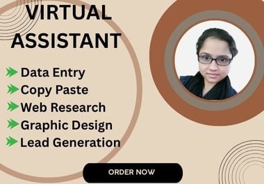 I will be your professional virtual assistant for web research,  data entry,  and lead generation