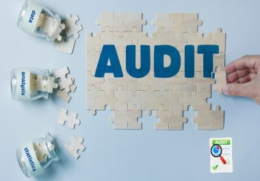 I will do website SEO audit report,  competitor analysis and website audit report