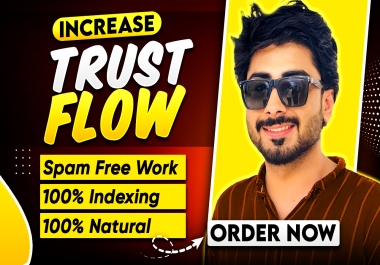 i will Increase Trust Flow TF 30+ with High-Quality Backlinks