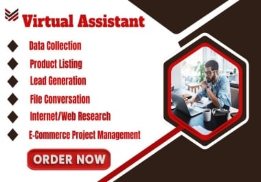I Will Provide Virtual Assistant Services for SEO,  Research,  and Content Support