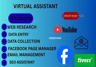 I will provide professional virtual assistant services for your business