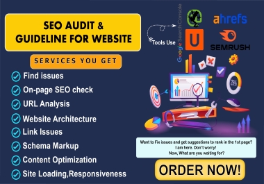 SEO Audit & Guideline Manually for Your Website