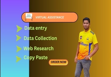 I will do expert in data entry