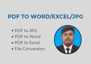 I will convert PDF to Word,  Excel,  or JPG