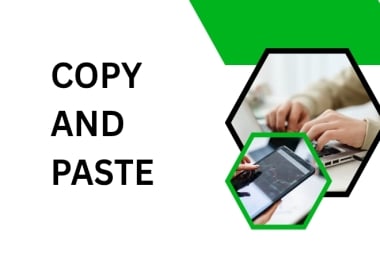 I will do data entry,  Excel, Copy paste, web research