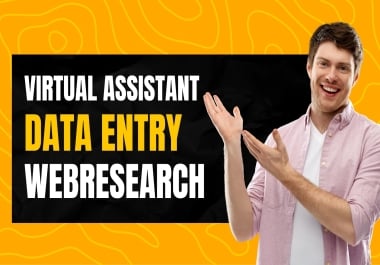 I will do professional data entry,  web research,  and excel data management