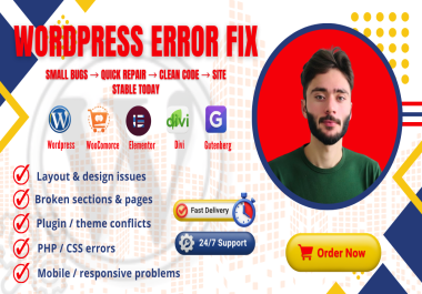 I will fix small WordPress errors,  bugs,  and issues fast
