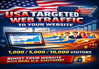 I will provide USA 10000 targeted web traffic for your website promotion