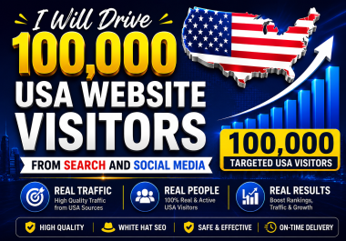 I Will Drive 100000 USA Website Visitors from Search and Media