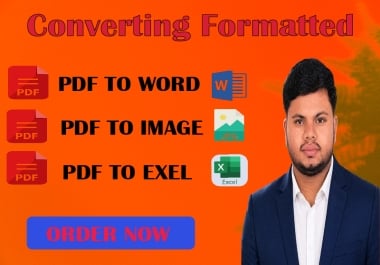 I will do converted pdf to word,  excel,  image & any other file format