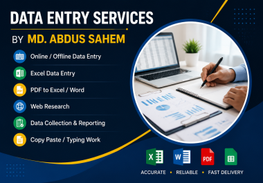 I will handle accurate excel data entry and web research tasks