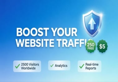 I will drive 2500 real organic website traffic worldwide