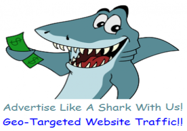 Provide 10000 Geo & Category Targeted Website Traffic Visits