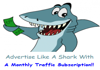 UNLIMITED MONTHLY TRAFFIC SUBSCRIPTION
