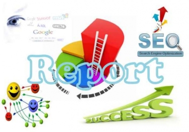 I will create a full Seo Report for your website by IBP