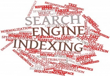 I will get ur site INDEXED fast by Google, Yahoo, Bing + 2000 + indexing sites within 5 hours