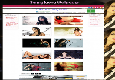 I will build wallpaper website with bulk image posting on wordpress