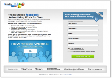 I will build you a professional landing page