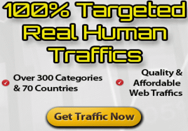 Deliver 10,000+ Real Human Country & Niche Targeted Visitors to your Website