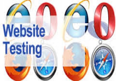 I will Test your website for 1 hour