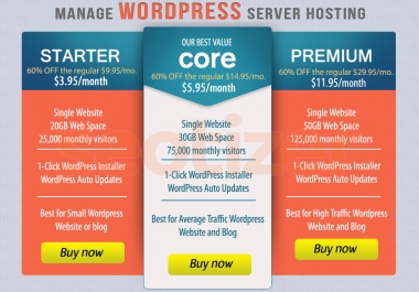 WordPress Server Hosting of 1 Year for Blog or Website