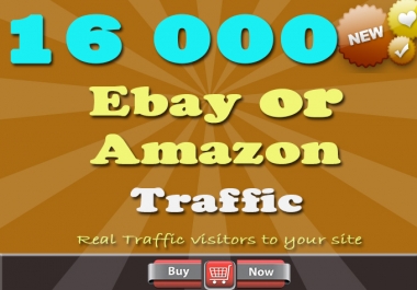 send you 16000 Ebay or Amazon Traffic visitors