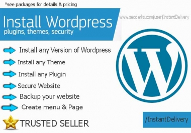 I Will Install Wordpress Theme,  Plugins, And Add Security