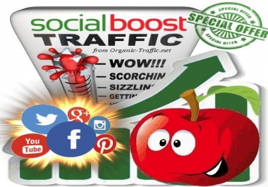 Social Media Traffic Boost for 30 days