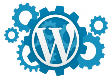 I Will Setup Wordpress and a Theme Just Like Demo and 10 Essential Plugins and Many more.