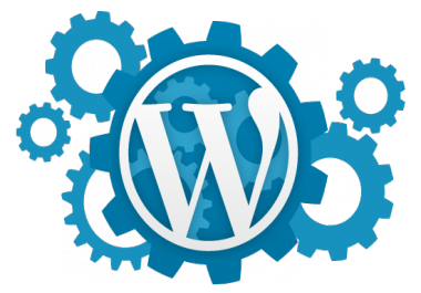 I Will Setup Wordpress and a Theme Just Like Demo and 10 Essential Plugins and Many more.
