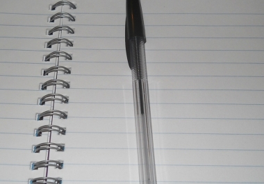 Write 1000 Words Copyscape Article for You