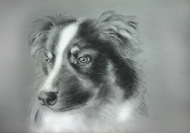 I will make a Premium Pencil Art for you