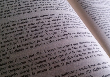 I will translate any text from English to Spanish 500 words