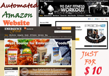 I will make easy fully Automated hassle free Amazon store Website