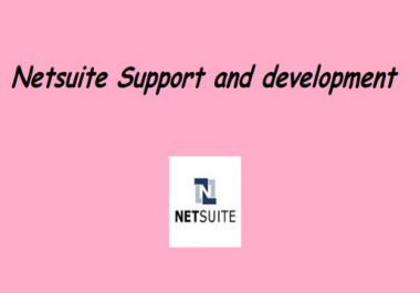 I do Netsuite scripts and customizations very fast Service ask for custom quote. basic gig