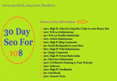 I will do 30 Days SEO For You