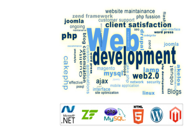 Make Professional Website To Grow Up Your Business.