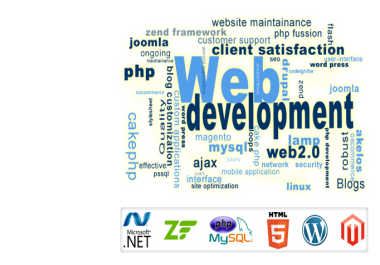 Make Professional Website To Grow Up Your Business.