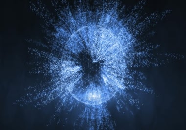 website developer/ designer