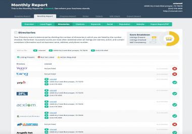 Run my visbility report for your local business
