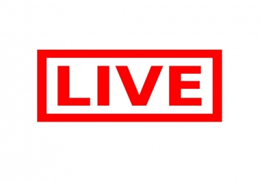 Professional SEO work 1 day