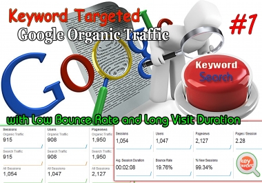 Unlimited Keyword Targeted Google Organic Traffic with Low Bounce Rate for 30 Days