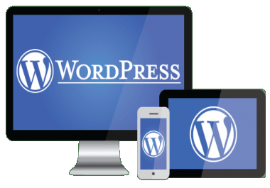 I will create 5 pages Wordpress website with Premium theme
